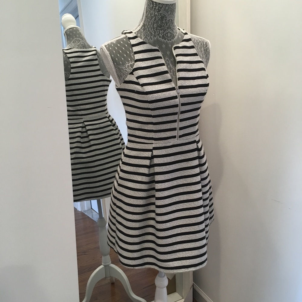 Black & White Express Skater Dress